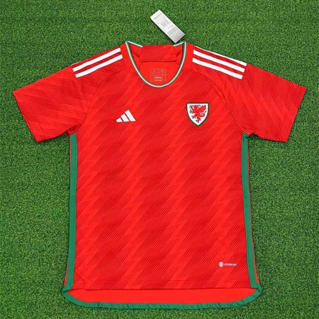 Wales 22-23 Home Stadium Jersey - Fans Version