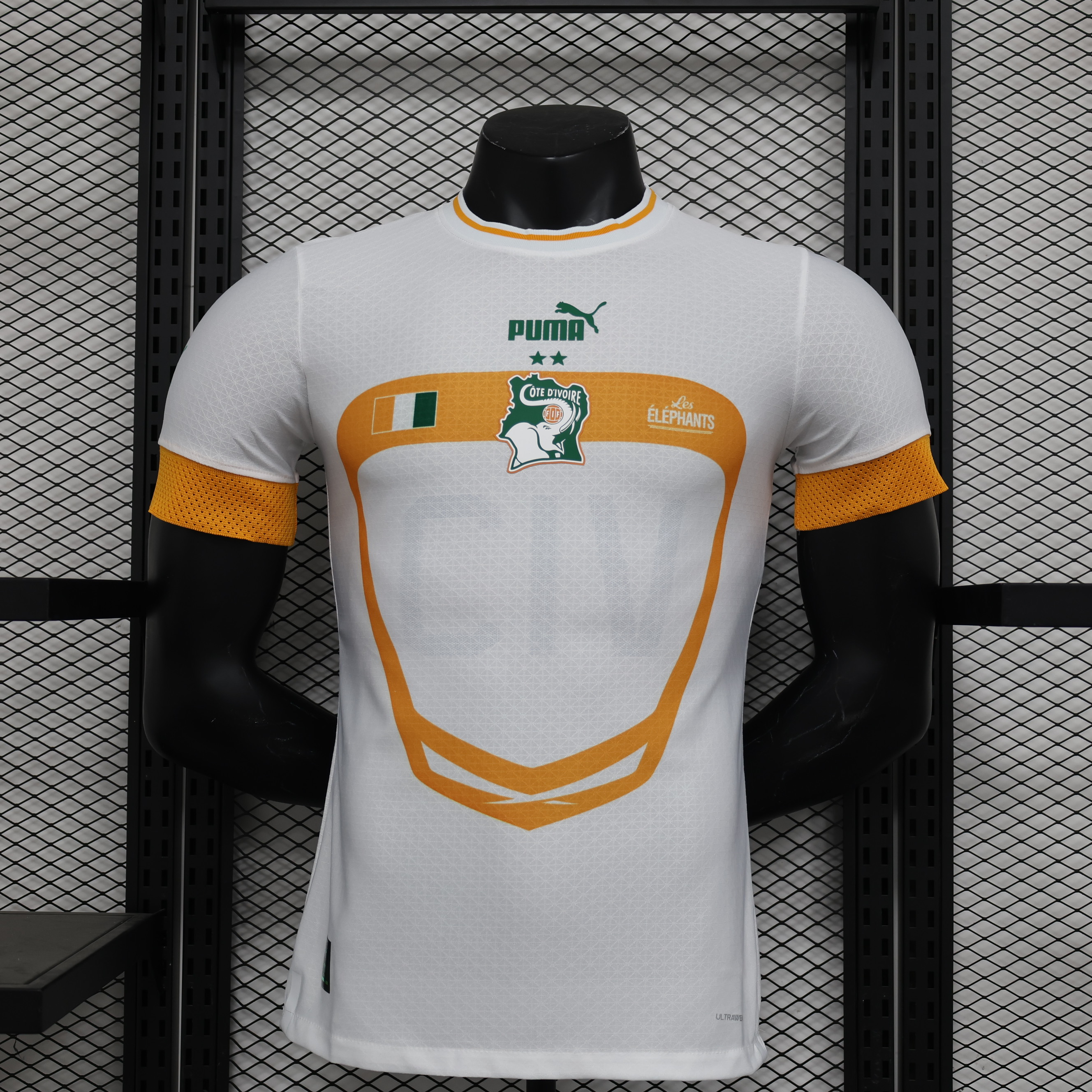 Cote d'Ivoire 22-23 Away Stadium Jersey - Player Version